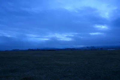 DSC_1104 (Large).JPG